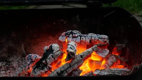 Fire and ember Stock Footage 79628537