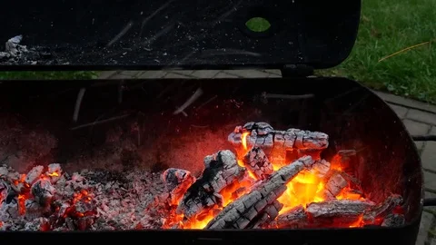 Fire and ember Stock Footage 79628547