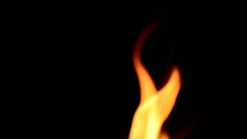 Fire and flame. Fire on a black background Stock Footage 102159953