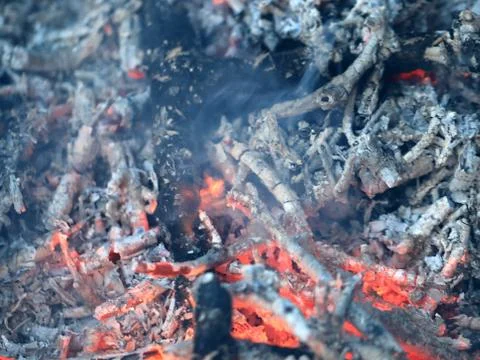 Fire and flame Stock Photos