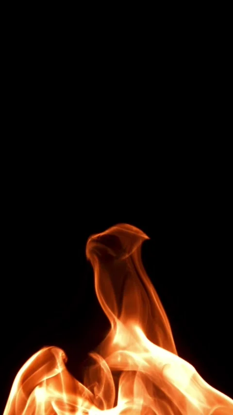 Fire and flames on a black background. Filmed on a high-speed camera at 1000 fps Stock Footage 335362986