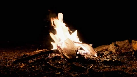 The fire and the flames Video stock 231949680