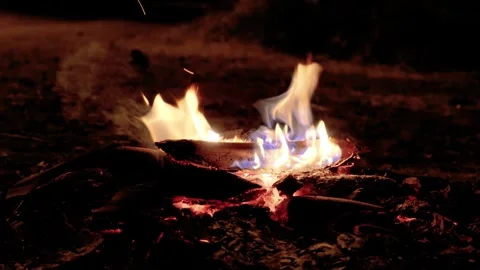 The fire and the flames Video stock 242386235