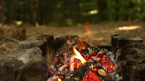 Fire and forest Stock Footage 67616199