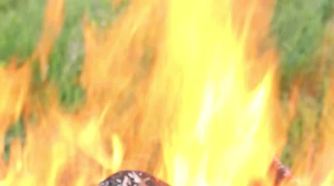 Fire and green grass Stock Footage 48846741