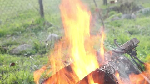 Fire and green grass Stock Footage 48846750