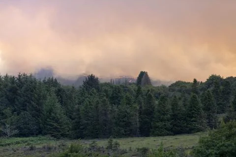 Fire and its huge cloud of smoke above the treetops in the Monts d'Arre Foto stock