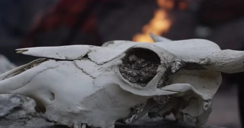 Fire and Skull Stock Footage 172933016