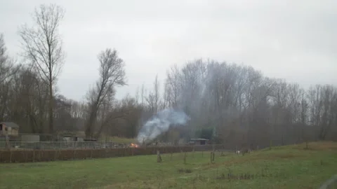 Fire and Smoke in Backyard Stock Footage 148278645