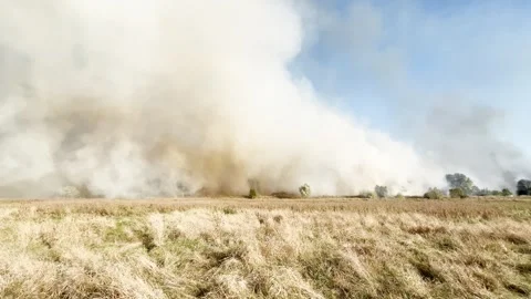 Fire and smoke. Burning forest. Natural disaster from climate change. Dry grass Stock Footage 291174834