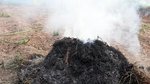 Fire And Smoke Burning Grass And Bush Of The Field Video stock 282793653