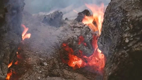 Fire and smoke on the coals of a burnt tree. Forest fire. Stock Footage 159292953