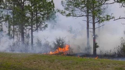 Fire and smoke during the dry season along a highway Stock Footage