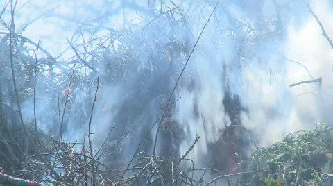 Fire and smoke Stock Footage 523684