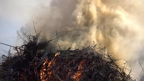 Fire and smoke Stock Footage 73656346