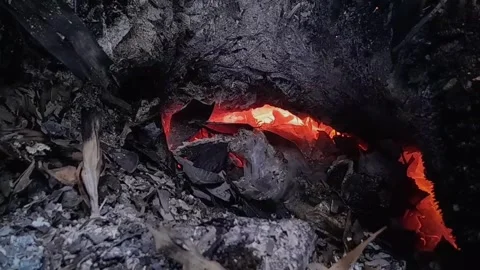 Fire and smoke Stock Footage 257227776