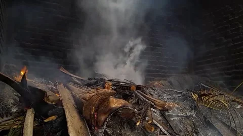 Fire and smoke Stock Footage 257228296