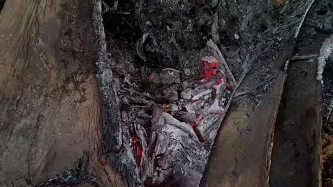 Fire and smoke Stock Footage 257228436