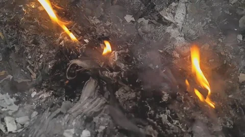 Fire and smoke Stock Footage 257228464