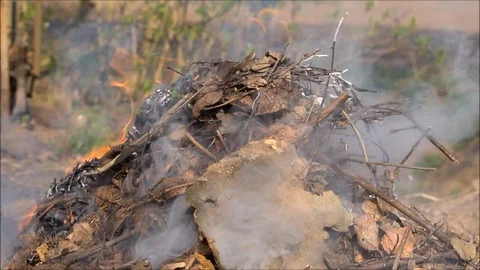 Fire and smoke on garden - spring cleaning Stock Footage 107506273