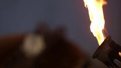 Fire and Water Stock Footage 81196371