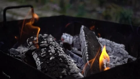Fire and white ashes Stock Footage 164479789