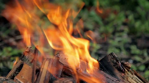Fire and wood Stock Footage 50491118