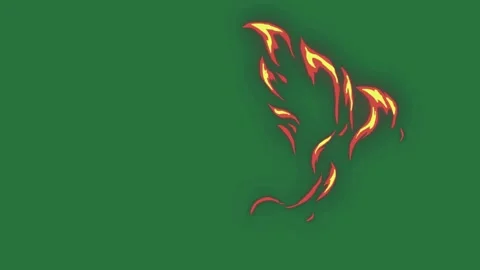 Fire Animated On Chroma Key For Compositing Stock Footage 338015556
