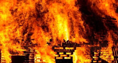 Fire Animation Background Stock Footage 119788215