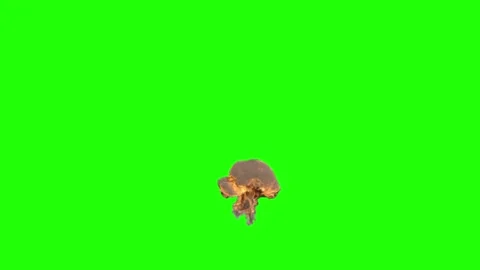 Fire Animation Green Screen Background Stock Footage 337197529