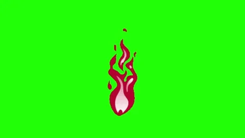 Fire Animation Green Screen Background Stock Footage 337197535