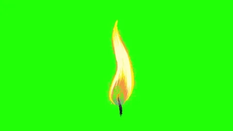 Fire Animation Green Screen Background Stock-Footage 337197548