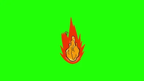 Fire Animation Green Screen Background 動画素材 337197551