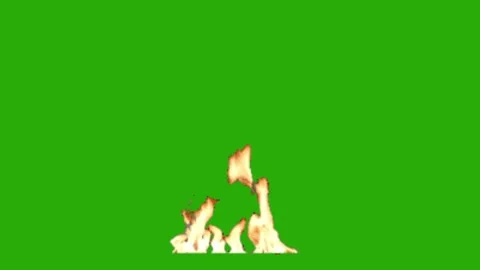 Fire animation on green screen Stock Footage 330762792