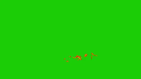 Fire animation on green screen Stock-Footage 334116875