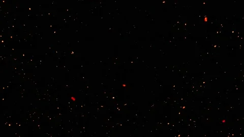 Fire ash Stock Footage 217425824