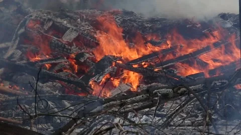 FIRE ASH Video stock 273985883