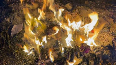 Fire ashses in winter Stock Footage 320214568