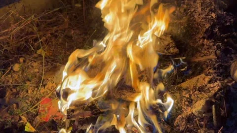 Fire ashses in winter Stock Footage 320214600