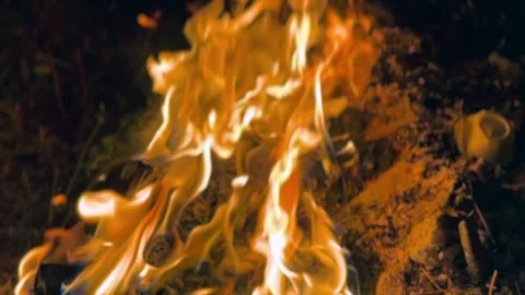 Fire ashses in winter Stock Footage 320214601