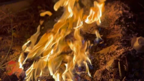 Fire ashses in winter Stock Footage 320214691