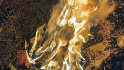 Fire ashses in winter Stock Footage 320214717