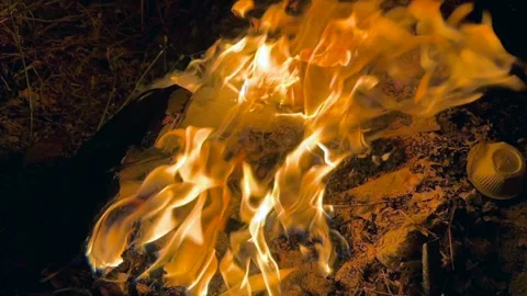 Fire ashses in winter Stock Footage 320214757