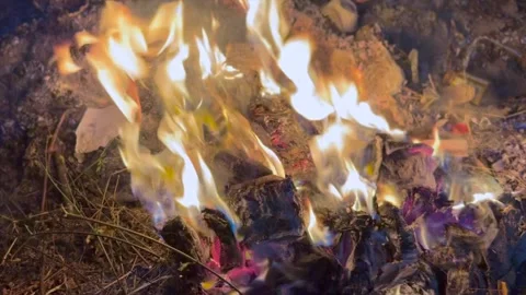 Fire ashses in winter Stock Footage 320214800