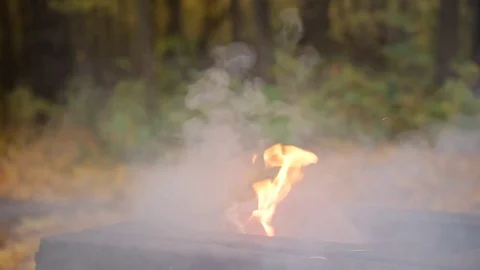 Fire in the autumn forest. Danger of forest fire - smoke and flame. Barbecue Stock Footage 84594510