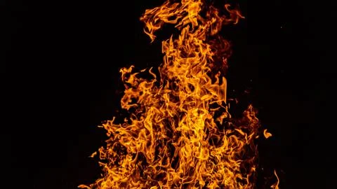 Fire background for border and frame overlays. Intense fire line among burning Stock Photos