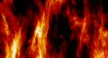 Fire background HD Footage