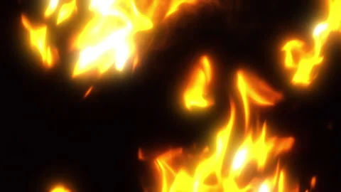 The fire. Background Stock Footage 156306493