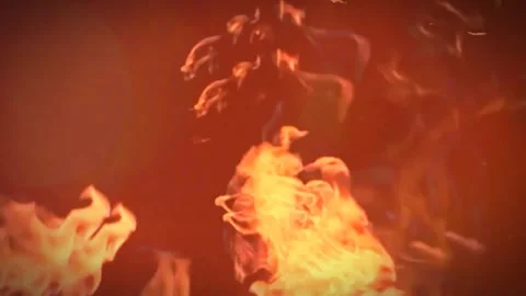Fire background Stock Footage 246579888