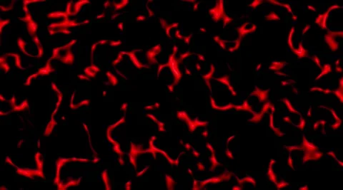 Fire background Stock Footage 298199984